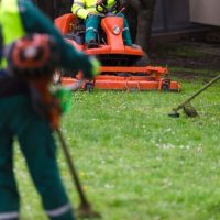 Landscapers